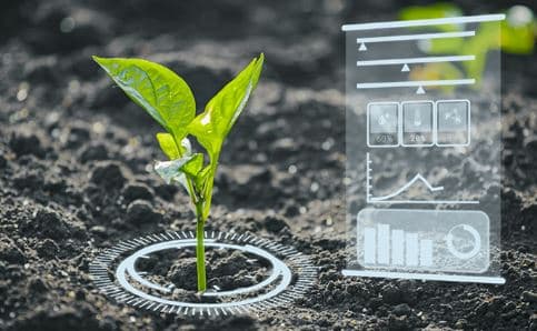 Agri Intellect illustration